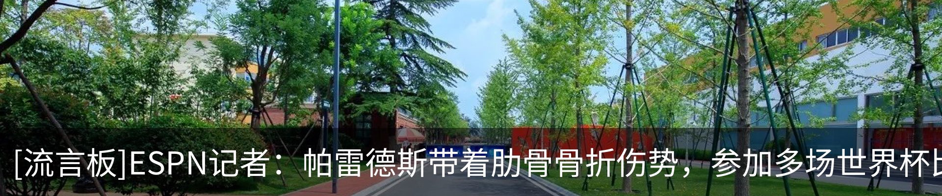 新闻中心